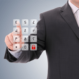 Electronic Access Systems Inc - Commercial Services